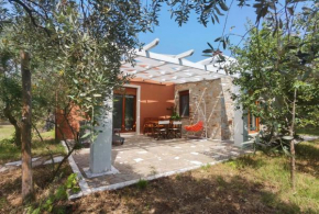 Elea Stone Houses in organic quiet olive grove, Prinos, Thassos